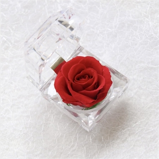 Evighedsrose i akrylboks